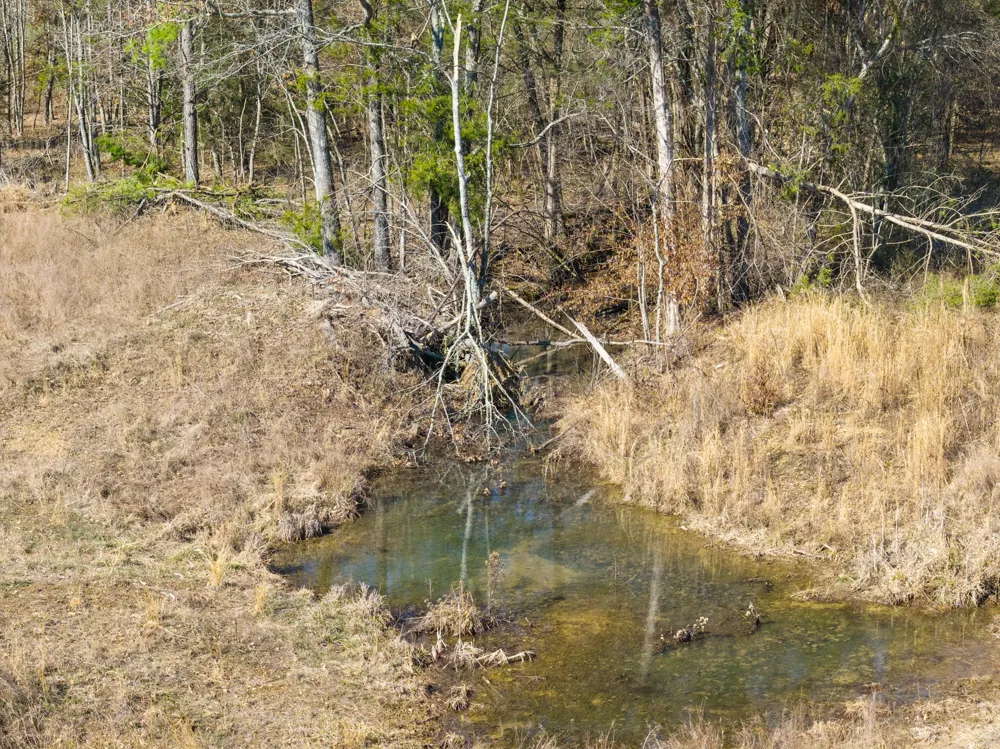 0 Mt Carmel Road Decaturville, TN 38329