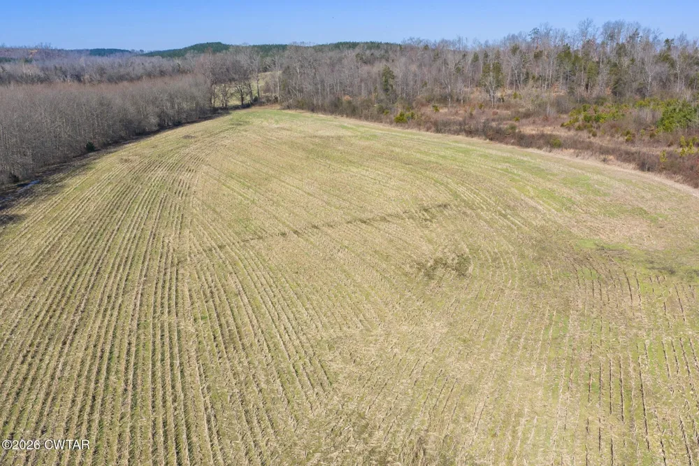 0 Mt Carmel Road Decaturville, TN 38329
