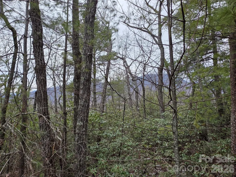 Lot 24A-28A Quail Drive Marion, NC 28752