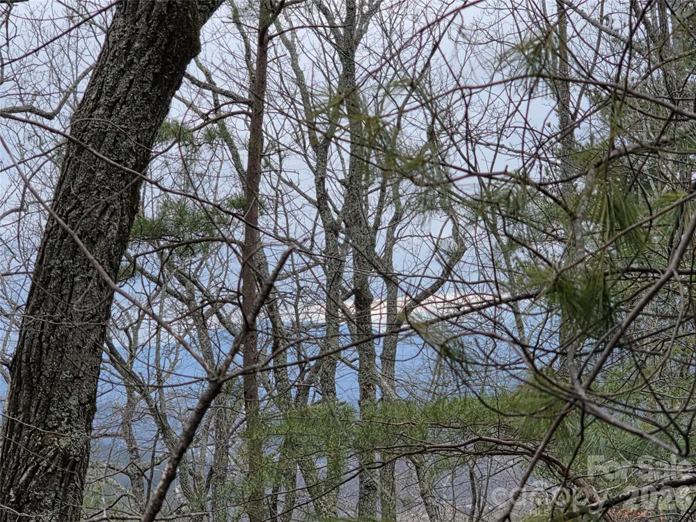 Lot 24A-28A Quail Drive Marion, NC 28752