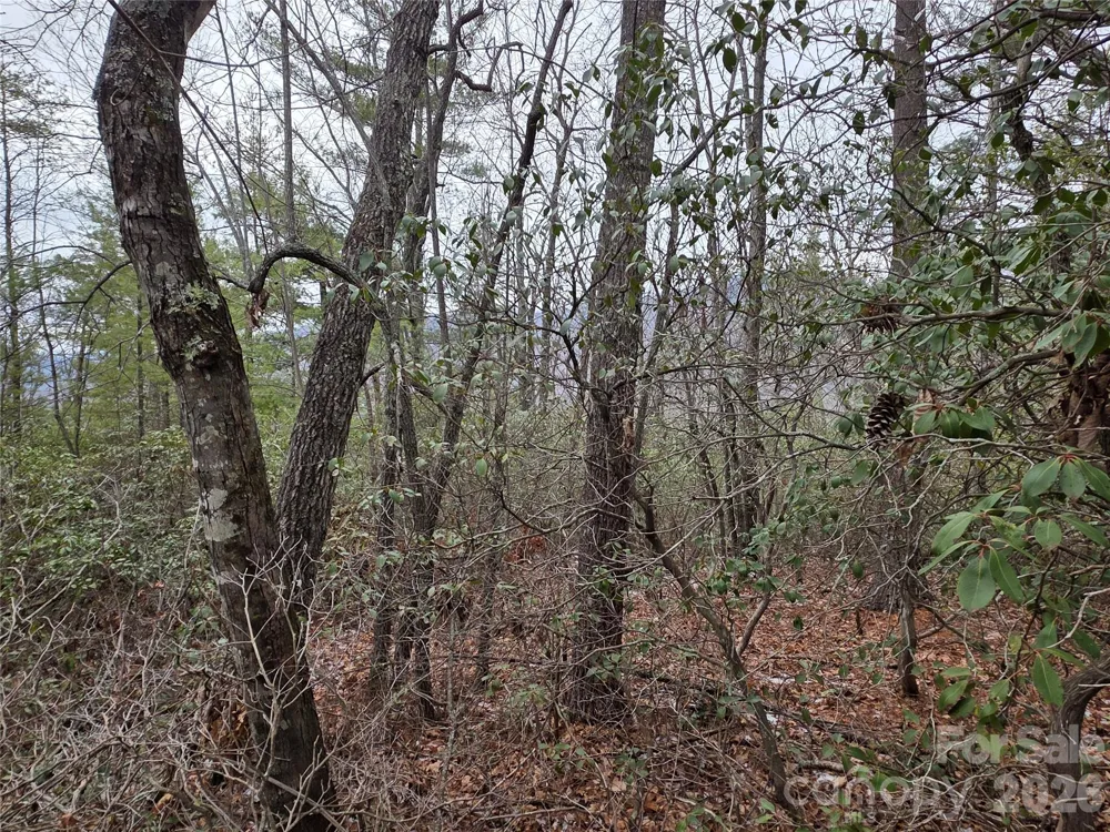 Lot 24A-28A Quail Drive Marion, NC 28752