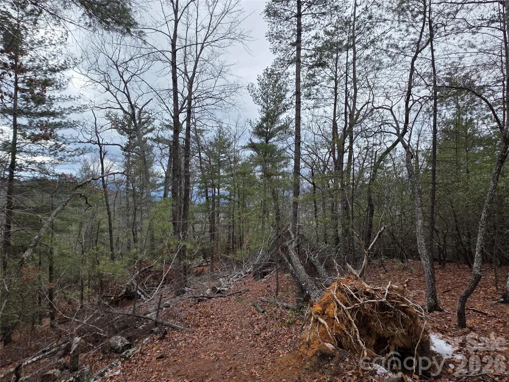 Lot 24A-28A Quail Drive Marion, NC 28752