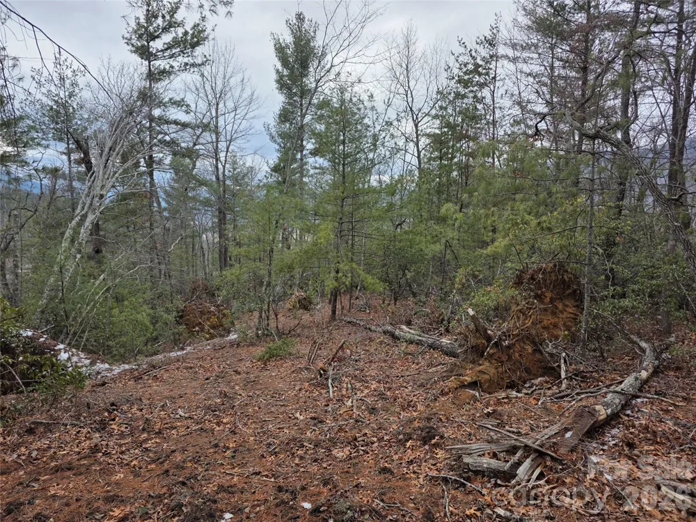 Lot 24A-28A Quail Drive Marion, NC 28752