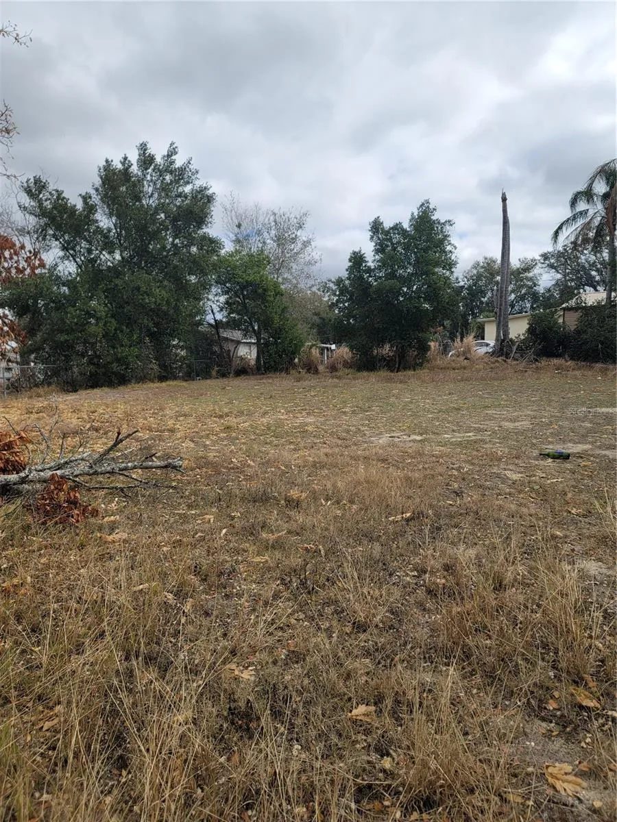 6TH STREET Haines City, FL 33844