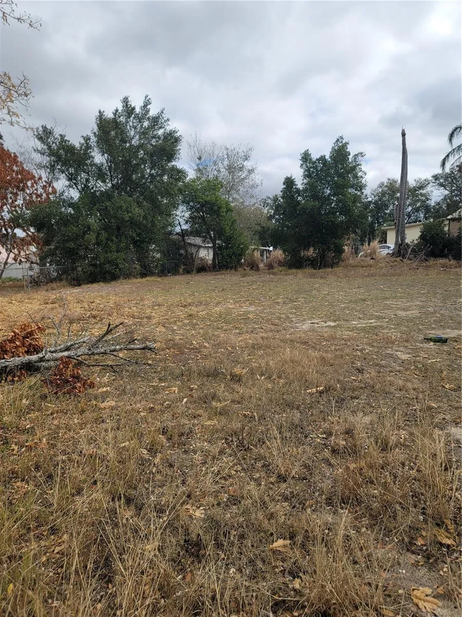 6TH STREET Haines City, FL 33844