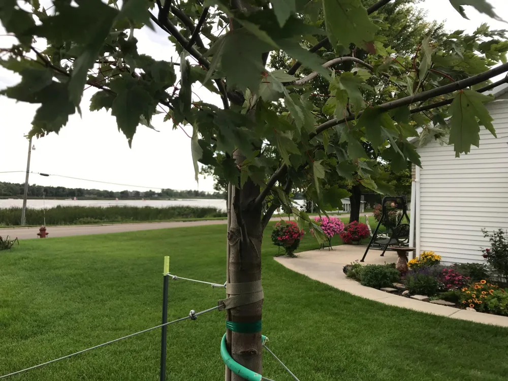 1960 Long Bridge Road Detroit Lakes, MN 56501