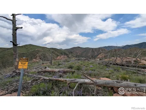 1360 Meadow Mountain Drive