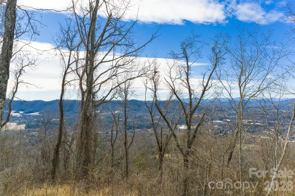 5 Longstreet Court #17 Weaverville, NC 28787
