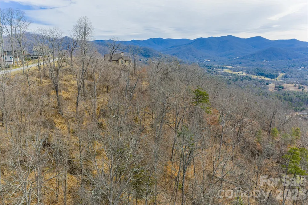 5 Longstreet Court #17 Weaverville, NC 28787