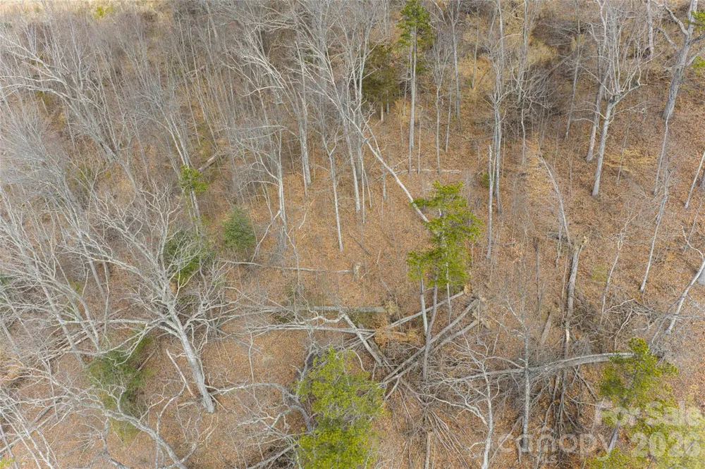 5 Longstreet Court #17 Weaverville, NC 28787