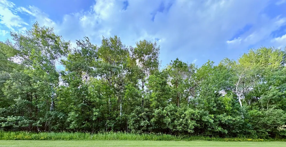 TBD Minnesota Ave NE Warroad, MN 56763
