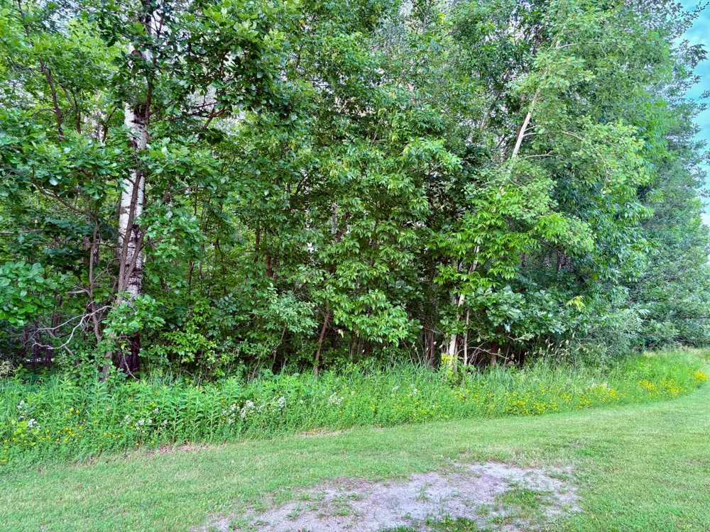 TBD Minnesota Ave NE Warroad, MN 56763