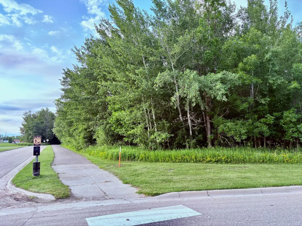 TBD Gladys St NE Warroad, MN 56763