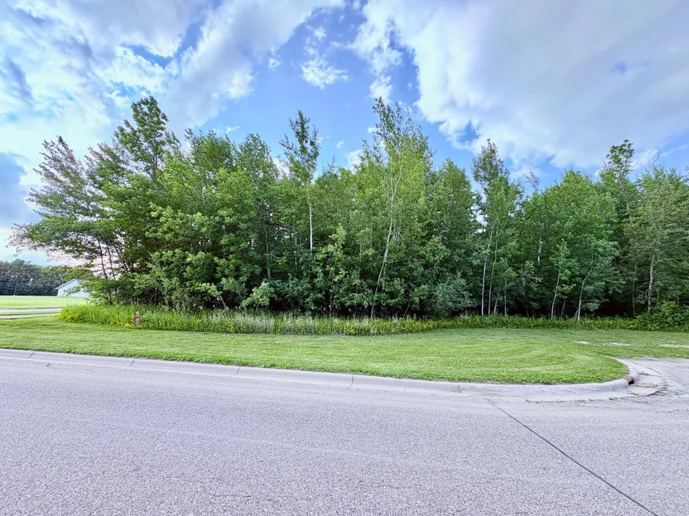 TBD Gladys St NE Warroad, MN 56763