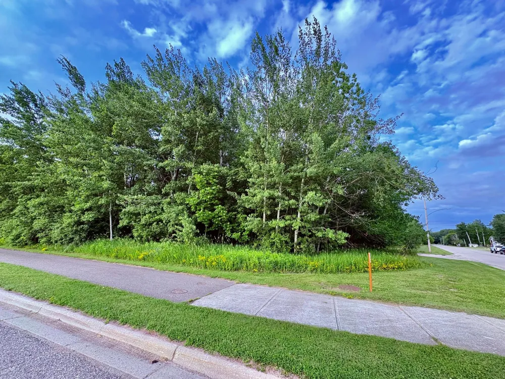 TBD Gladys St NE Warroad, MN 56763