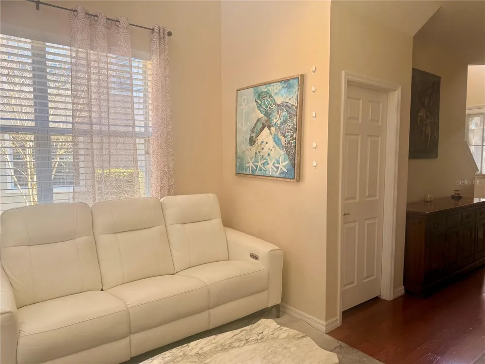 2219 PICO LANE Mount Dora, FL 32757