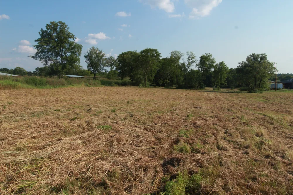 2716 Hartsville Pike Castalian Springs, TN 37031