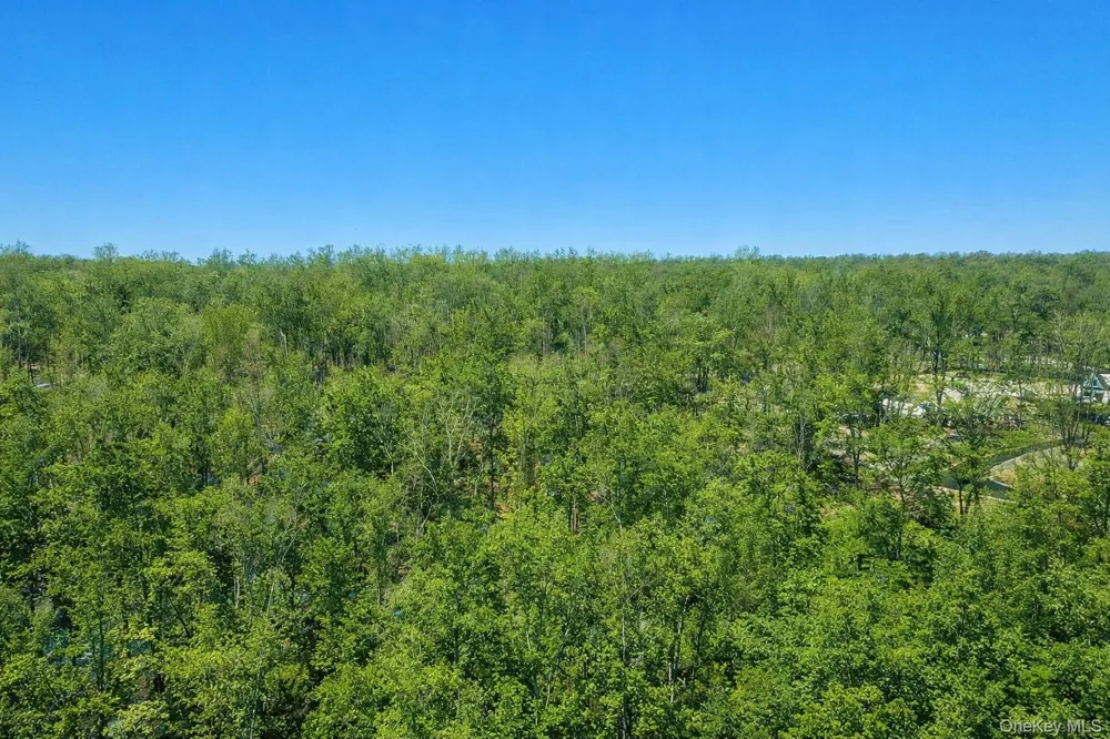 TBD County Route 12 New Hampton, NY 10958