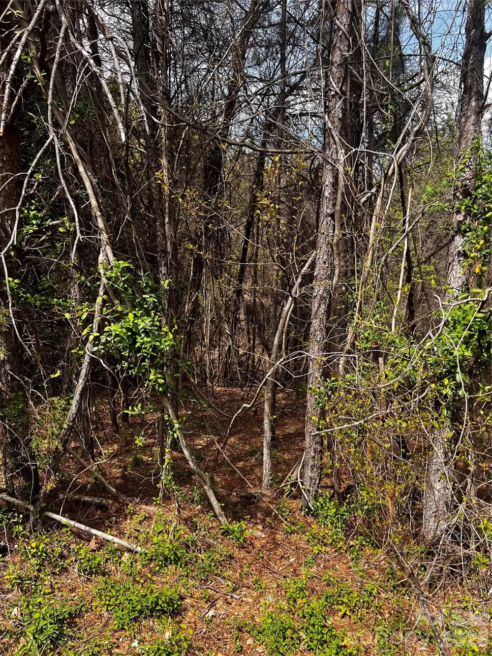 0000 Cemetery Loop Hickory, NC 28601