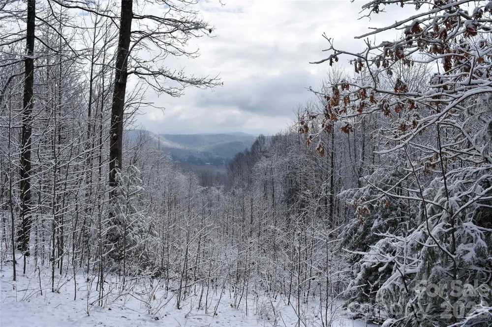 0000 Pinnacle Mountain Road #Lots 1,2,3,4 Zirconia, NC 28790