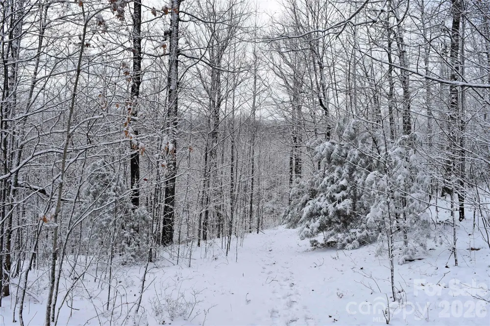 0000 Pinnacle Mountain Road #Lots 1,2,3,4 Zirconia, NC 28790