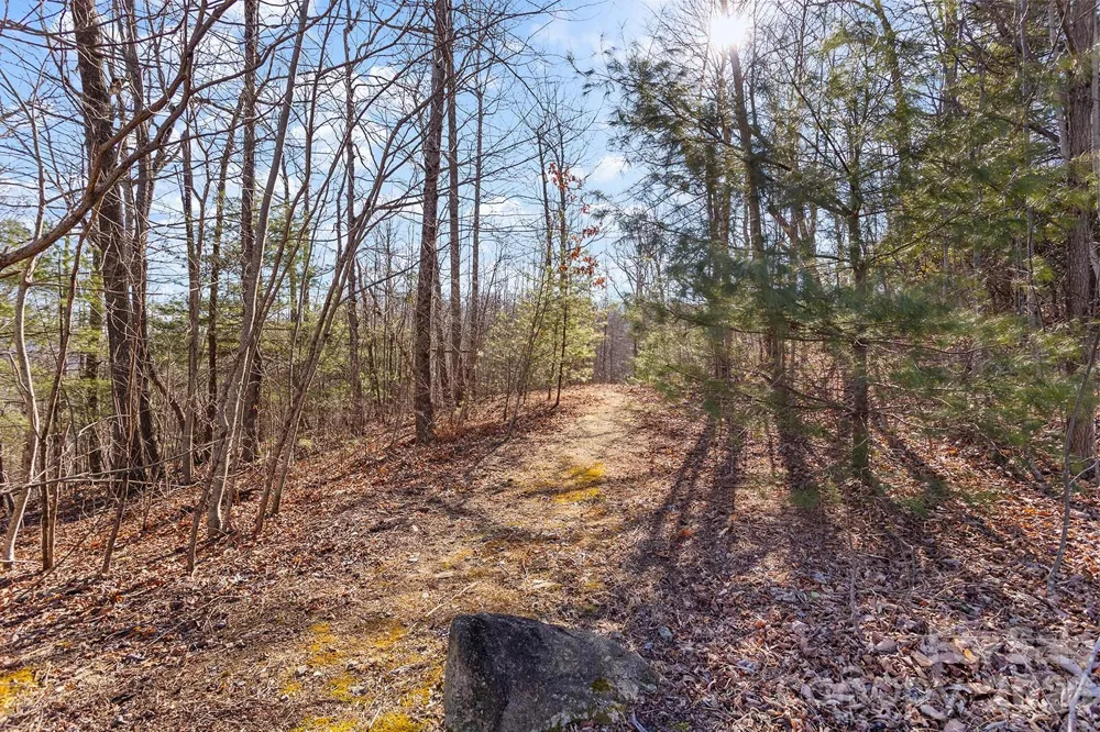 0000 Pinnacle Mountain Road #Lots 1,2,3,4 Zirconia, NC 28790