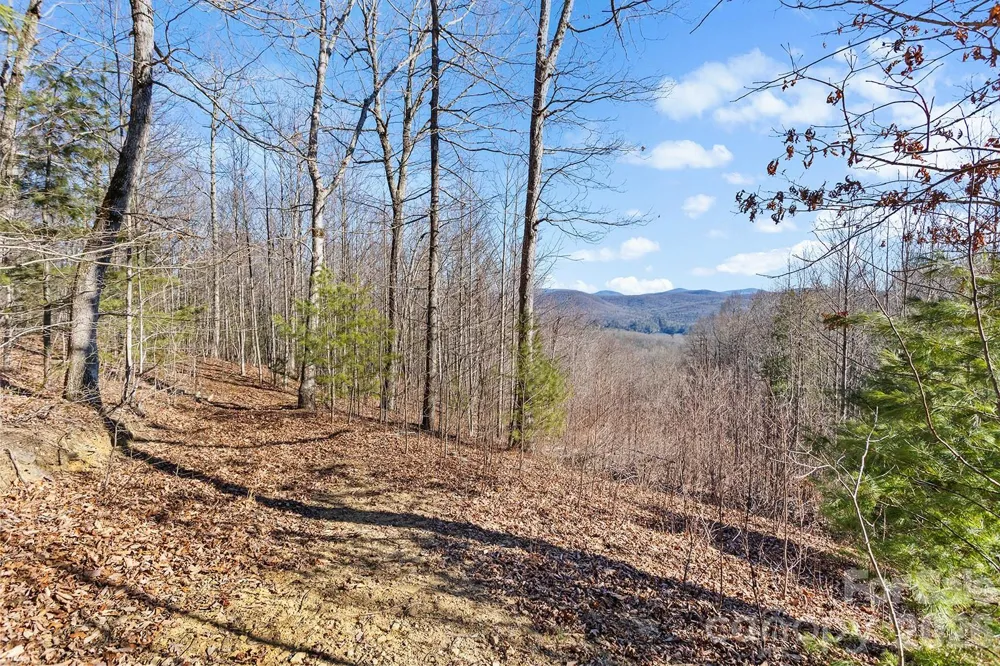 0000 Pinnacle Mountain Road #Lots 1,2,3,4 Zirconia, NC 28790