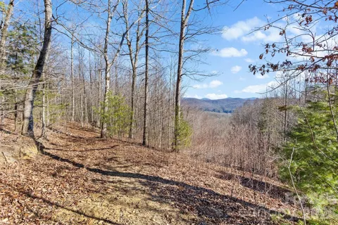 0000 Pinnacle Mountain Road #Lots 1,2,3,4
