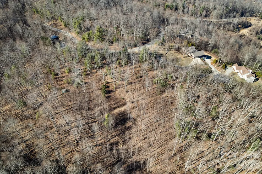 0000 Pinnacle Mountain Road #Lots 1,2,3,4 Zirconia, NC 28790