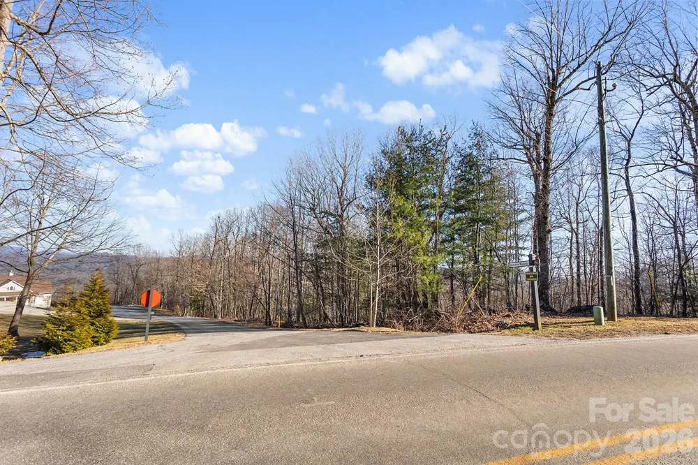 0000 Pinnacle Mountain Road #Lots 1,2,3,4 Zirconia, NC 28790