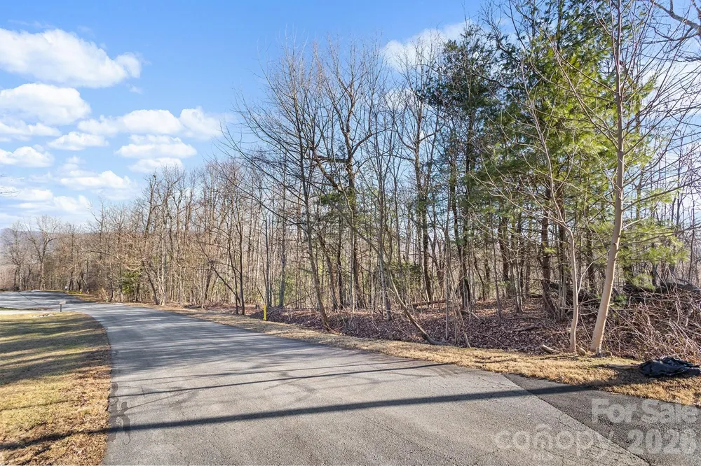 0000 Pinnacle Mountain Road #Lots 1,2,3,4 Zirconia, NC 28790
