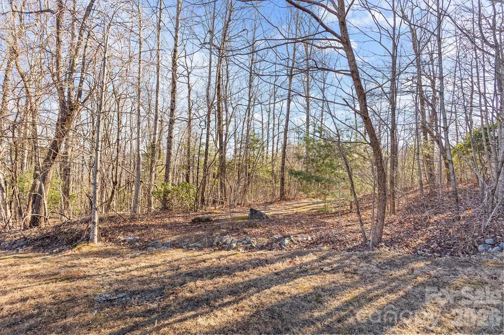 0000 Pinnacle Mountain Road #Lots 1,2,3,4 Zirconia, NC 28790