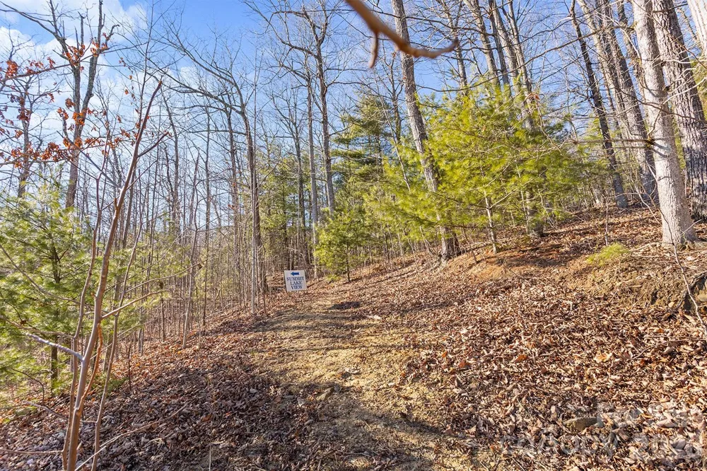 0000 Pinnacle Mountain Road #Lots 1,2,3,4 Zirconia, NC 28790