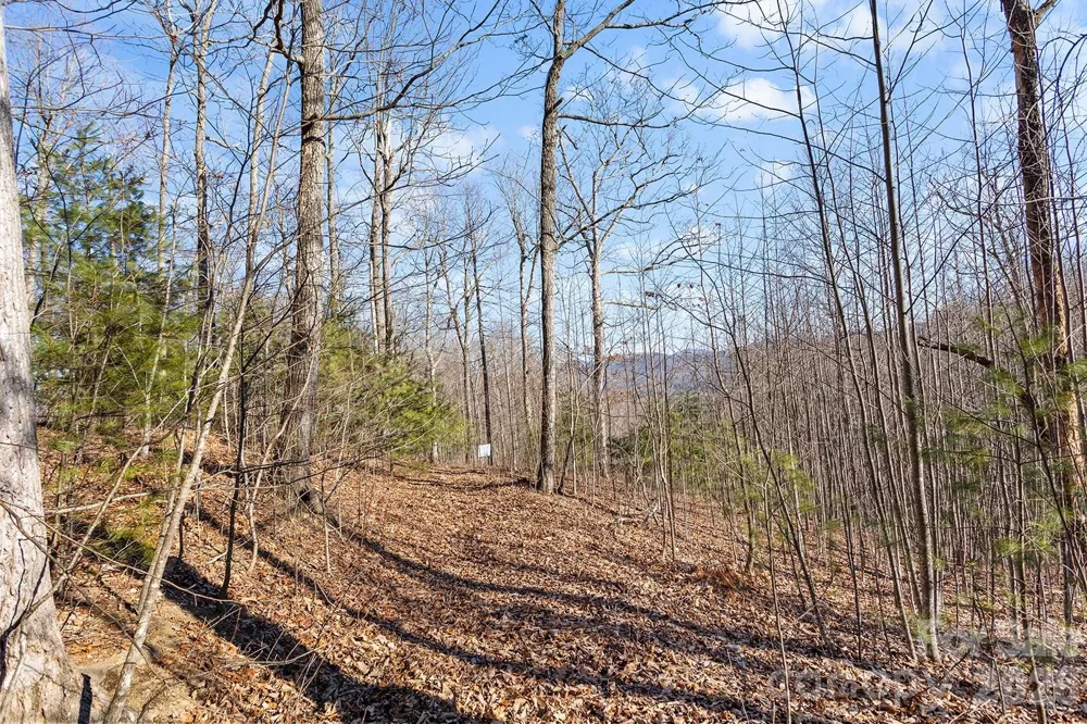 0000 Pinnacle Mountain Road #Lots 1,2,3,4 Zirconia, NC 28790