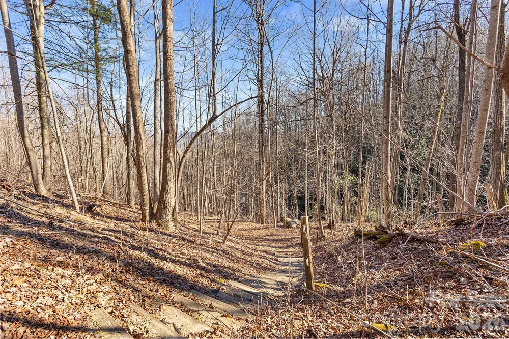 0000 Pinnacle Mountain Road #Lots 1,2,3,4 Zirconia, NC 28790