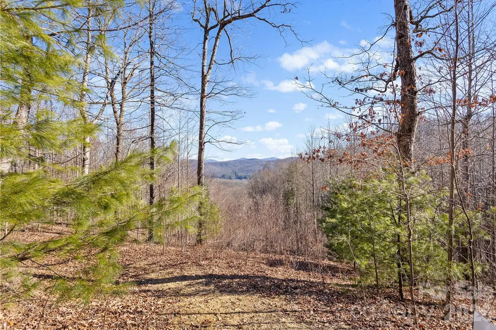 0000 Pinnacle Mountain Road #Lots 1,2,3,4 Zirconia, NC 28790