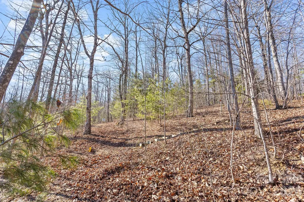 0000 Pinnacle Mountain Road #Lots 1,2,3,4 Zirconia, NC 28790