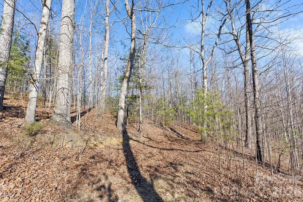 0000 Pinnacle Mountain Road #Lots 1,2,3,4 Zirconia, NC 28790