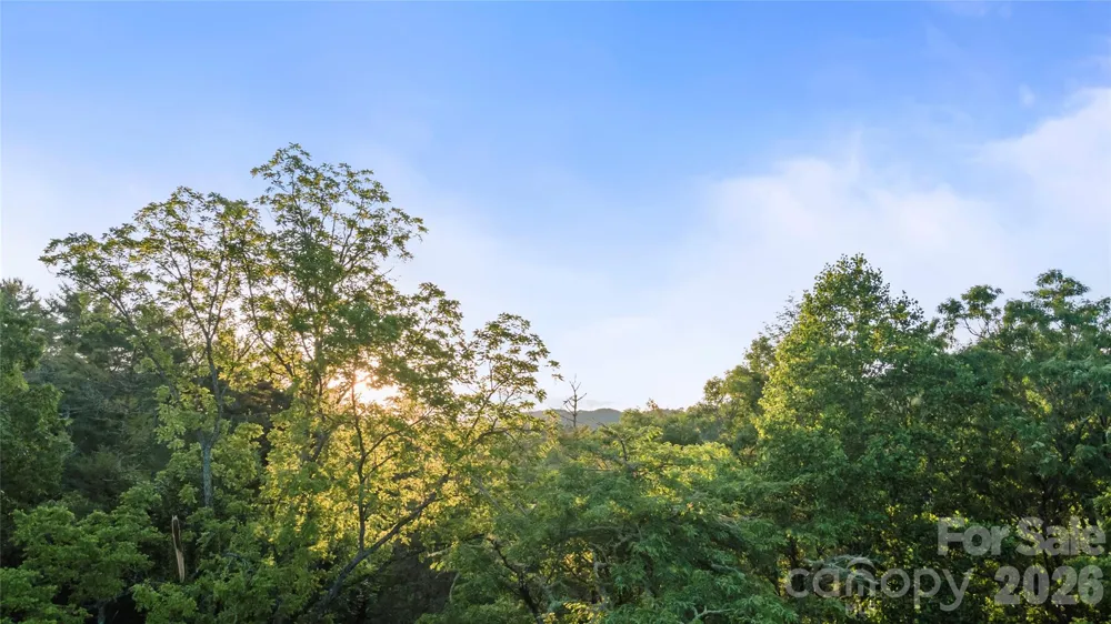99999 Bear Creek Road #38 Marshall, NC 28753