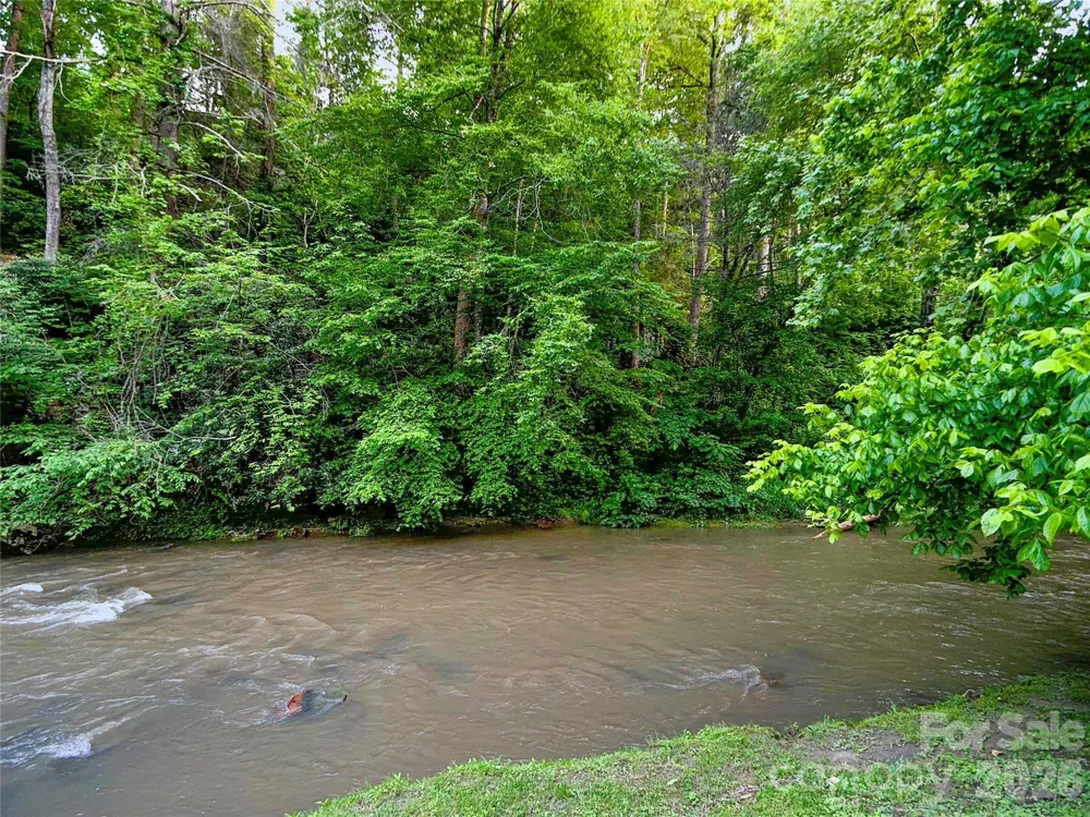 99999 Bear Creek Road #38 Marshall, NC 28753