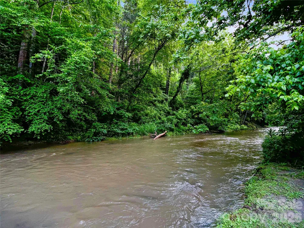99999 Bear Creek Road #38 Marshall, NC 28753