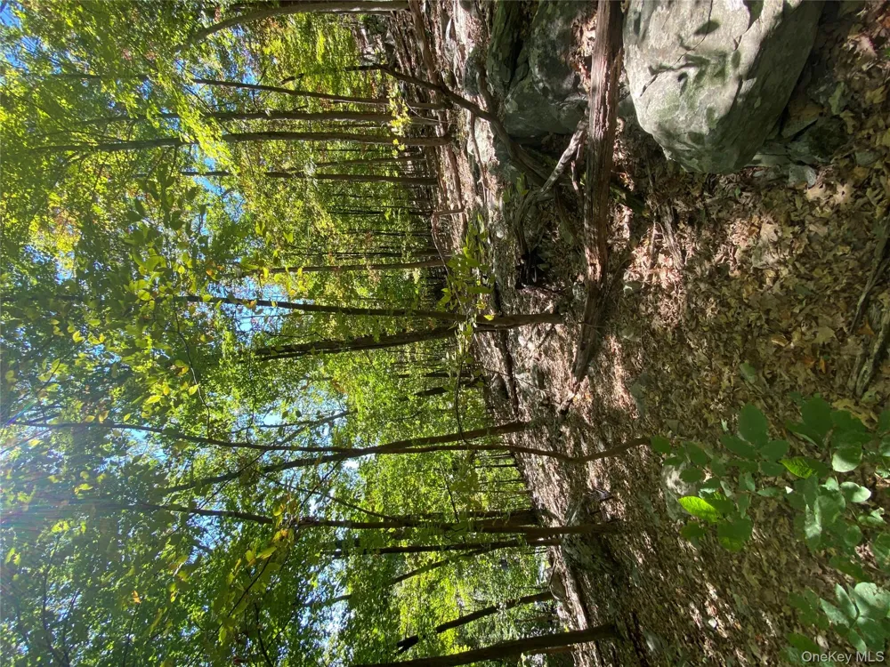 Louise Lane Greenwood Lake, NY 10925