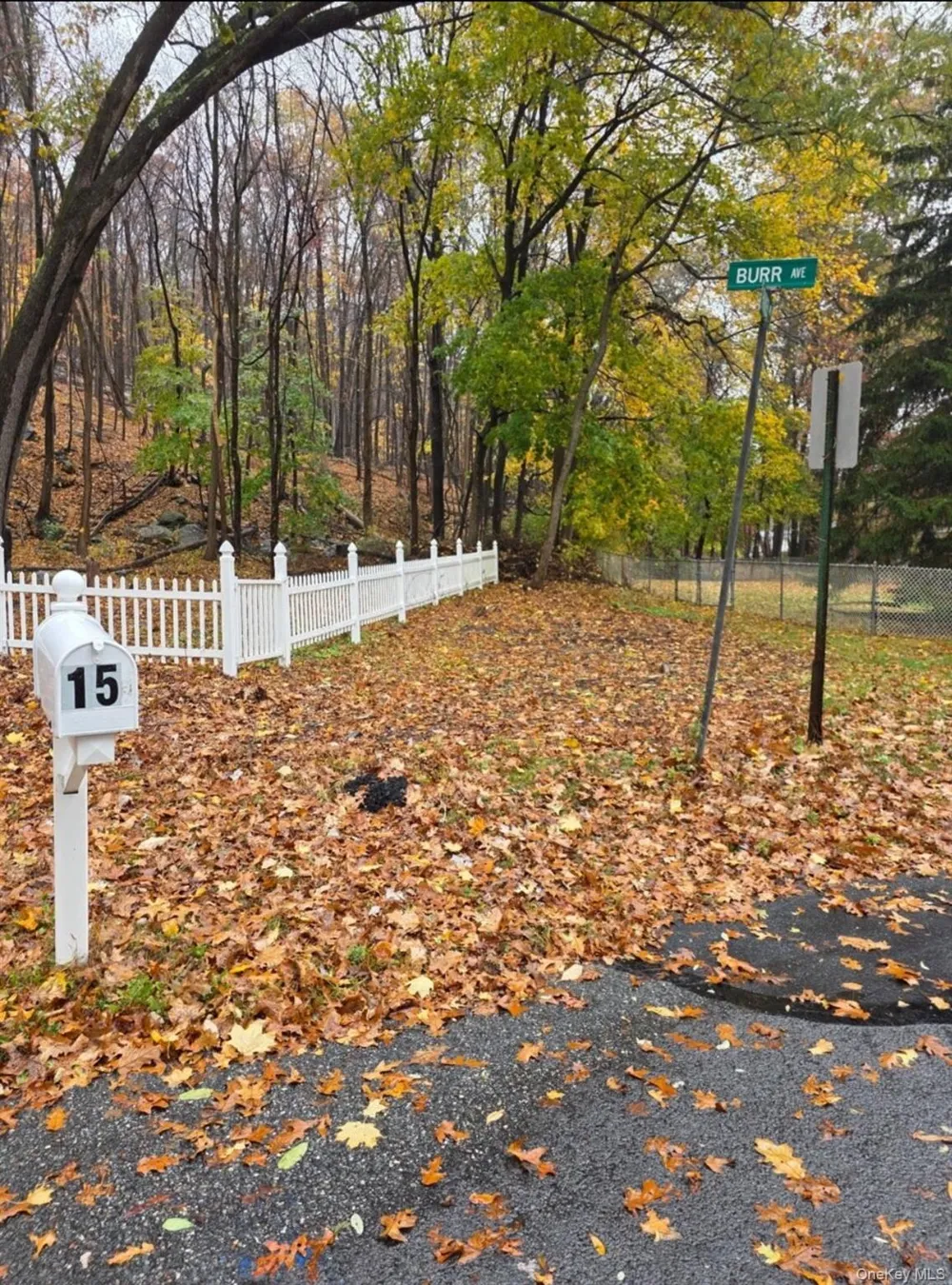Louise Lane Greenwood Lake, NY 10925