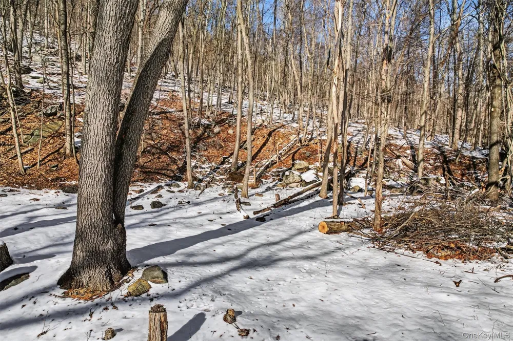 Louise Lane Greenwood Lake, NY 10925