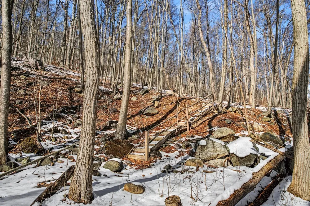 Louise Lane Greenwood Lake, NY 10925