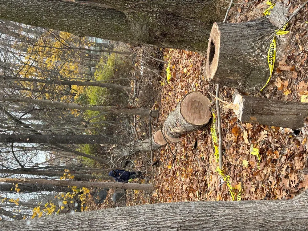 Louise Lane Greenwood Lake, NY 10925