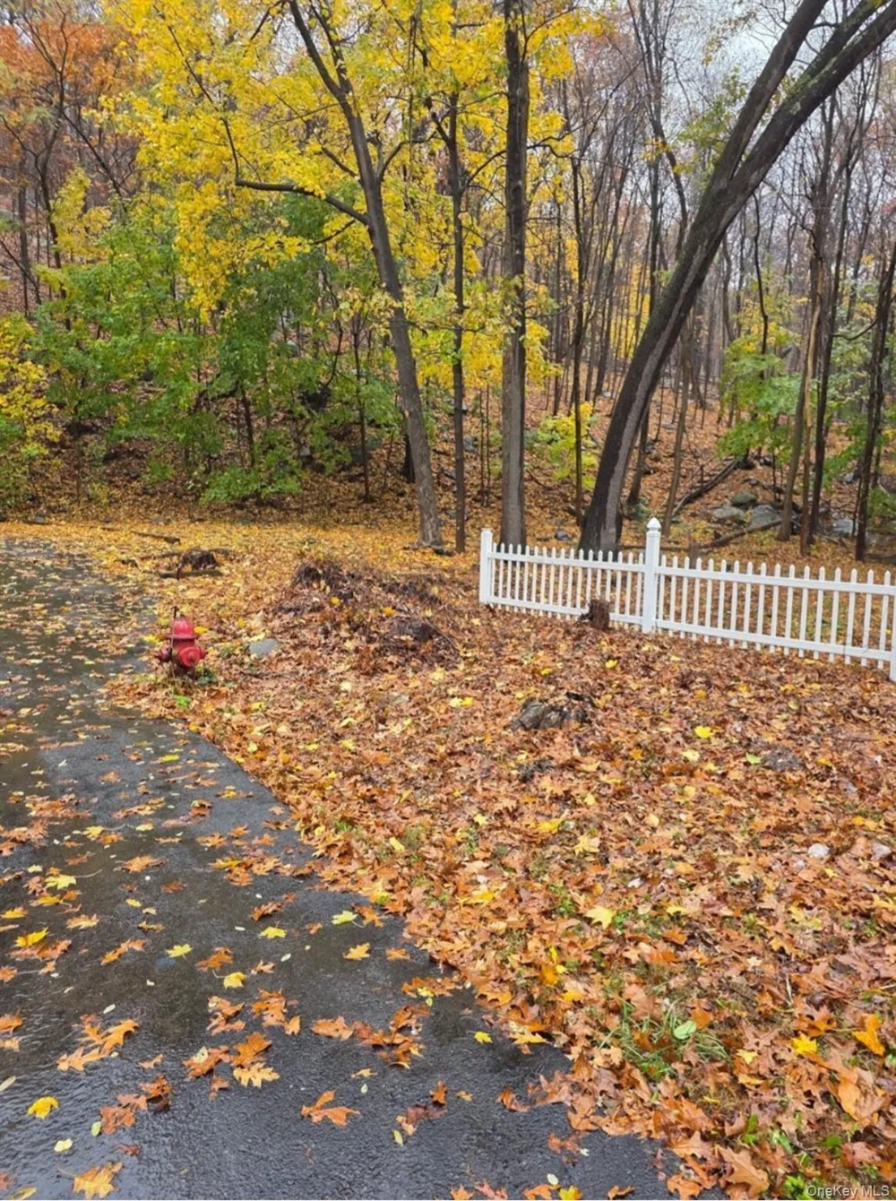 Louise Lane Greenwood Lake, NY 10925