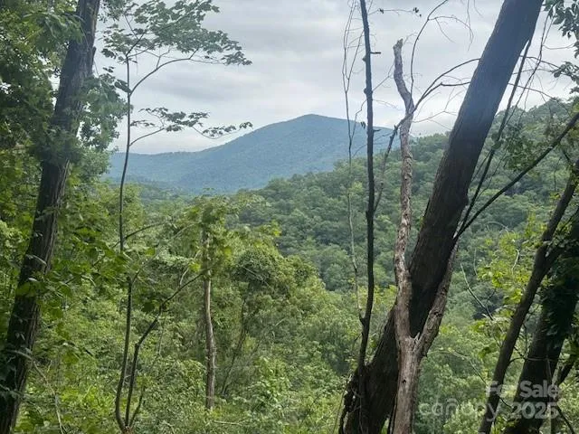 000 Satellite Mountain Road Burnsville, NC 28714