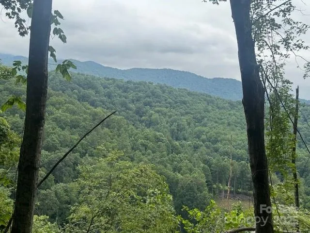000 Satellite Mountain Road Burnsville, NC 28714