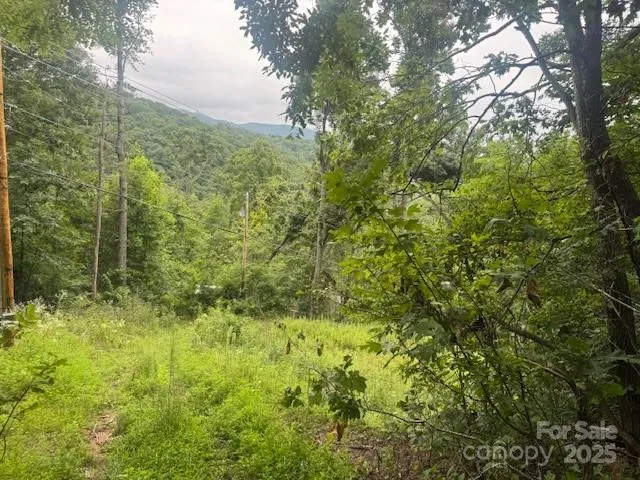 000 Satellite Mountain Road Burnsville, NC 28714